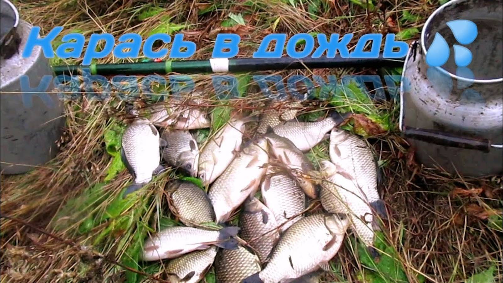 ХОРОШАЯ РЫБАЛКА ПОД ОСЕННИМ ДОЖДЕМ! КРУПНЫЙ КАРАСЬ НА ПОПЛАВОЧНУЮ УДОЧКУ!