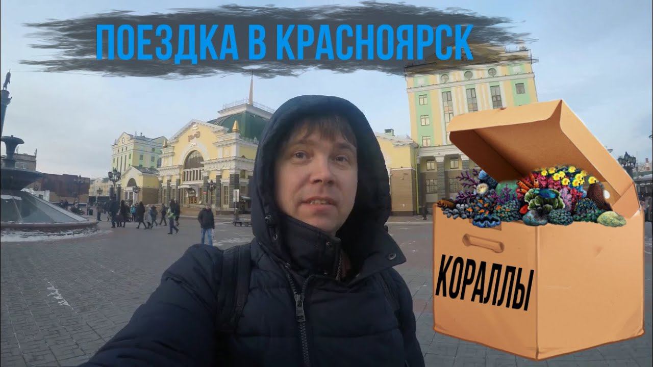 МОРСКОЕ ХОББИ/ПОЕЗДКА В КРАСНОЯРСК/ЗООМАГАЗИНЫ/ОБМЕН КОРАЛЛАМИ/МОРСКОЙ АВКАРИУМ