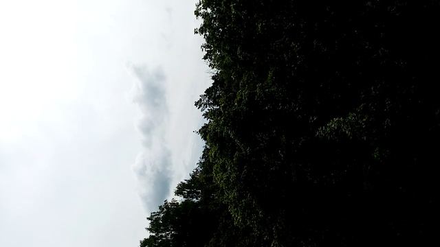 Июль 2024, Дорохово
