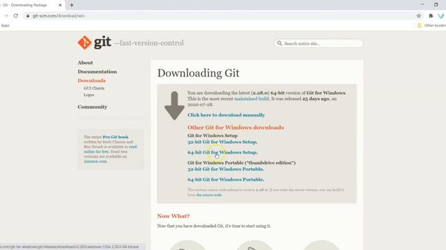 4. Installing Git on Windows