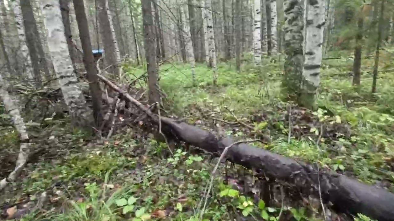 Рельсовый завал