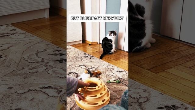 выбирает игрушку