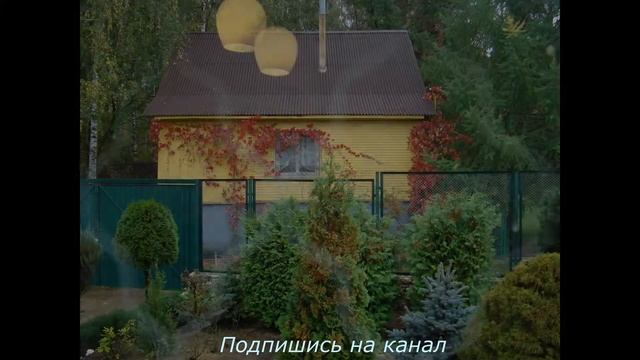 Природа,сад,cрезанные цветы 09.2011 год