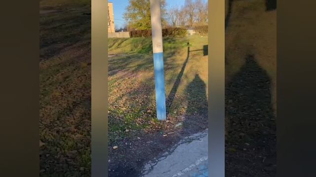 FPV