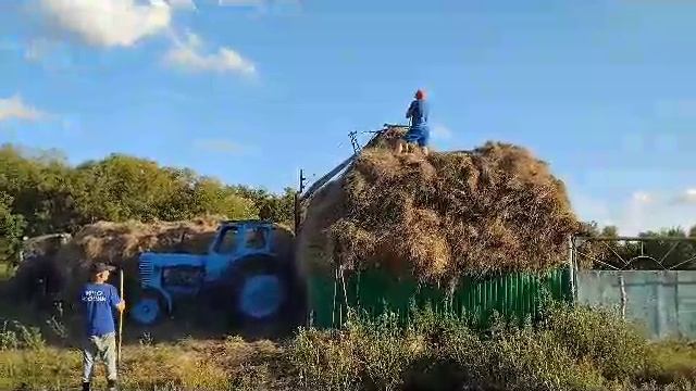 сенокос 2023