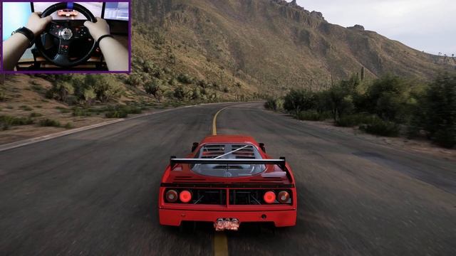 800hp Ferrari F40 COMPETIZIONE 1989 Forza Horizon 5 (Steering Wheel Gameplay)