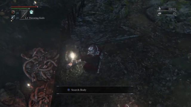 Bloodborne - Why did it have to be snakes?