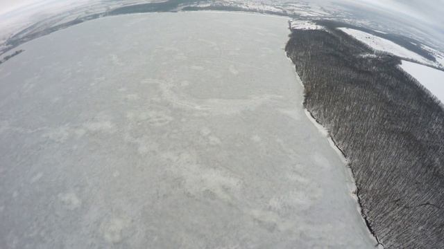 Черный лес. Харьковская область Печенежское водохранилище. 4к