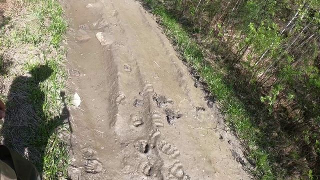 Всякой твари по паре…