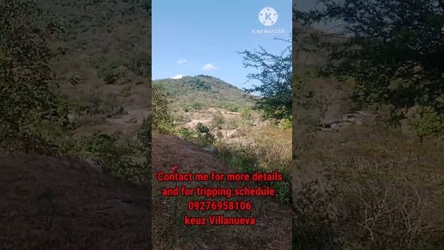 Mountain View Leisure Farm installment for 5 years total cash price  Php 633360 for 156sqm