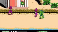 NES - Teenage Mutant Ninja Turtles III - Manhattan Project