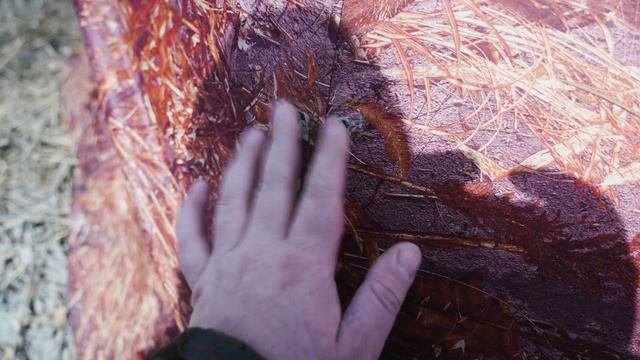 ШОК. Что стало с палаткой УП2 через 100 выездов и 200 дней на улице