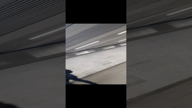 Проверка документов цыган, поверивших в себя