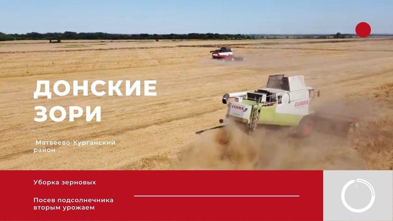 Донские зори: итоги уборки 2021. Посев подсолнечника вторым урожаем.