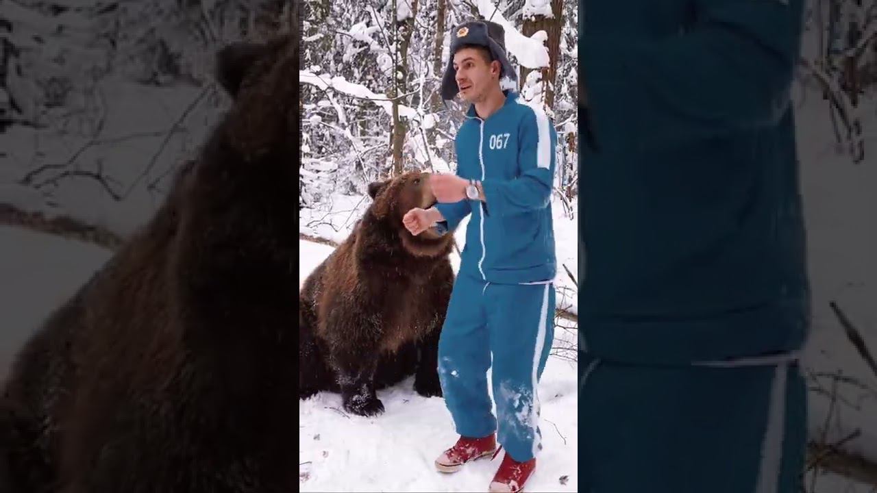 Сумасшедшие русские #медведи #медведь #ржака