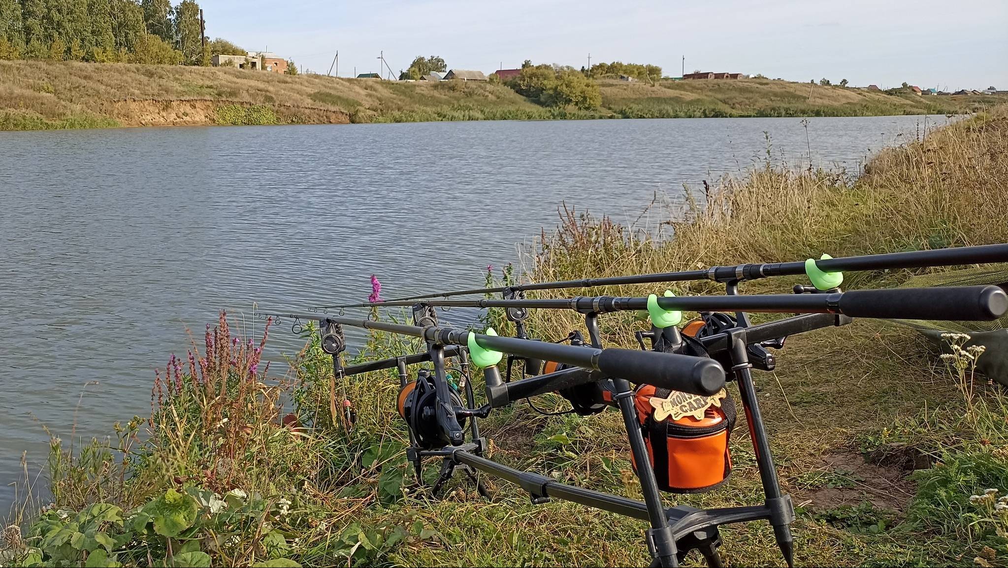 Рыбалка на карпа и карася на диком пруду!#fishing #рыбалка #carpfishing #carp #карась #рыбалкавидео