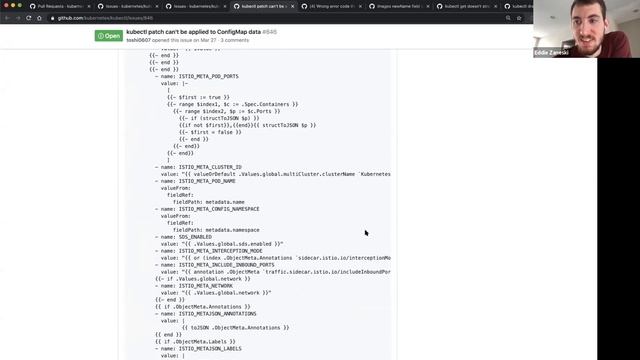 Kubernetes SIG CLI 20200527 - bug scrub