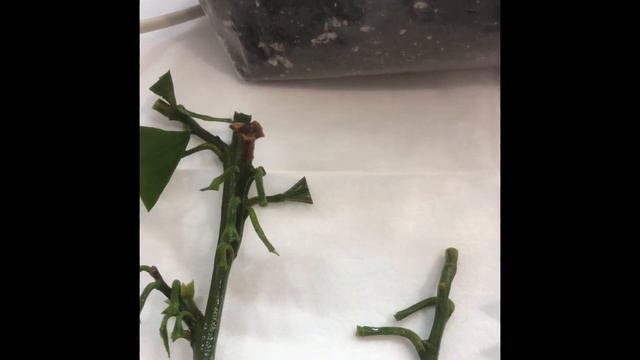 10 декабря 2022 г.