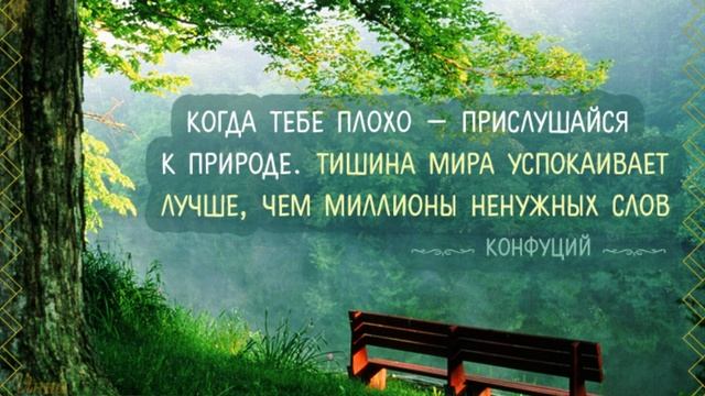 Мудрые  цитаты .