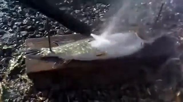 А вы не пробовали чистить рыбу керхером?