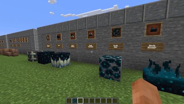 THE WILD UPDATE - Everything NEW in Minecraft 1.19 - All New features, mobs and blocks!