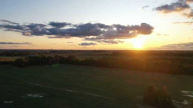 4k. Drone. пос. Доброе. Калининградская область. Россия.