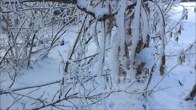 Сколько нужно земли для самообеспечения?