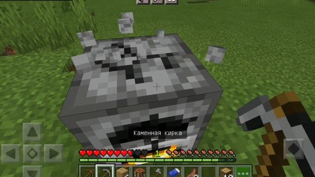 LP: Майнкрафт 1.16.221. #1