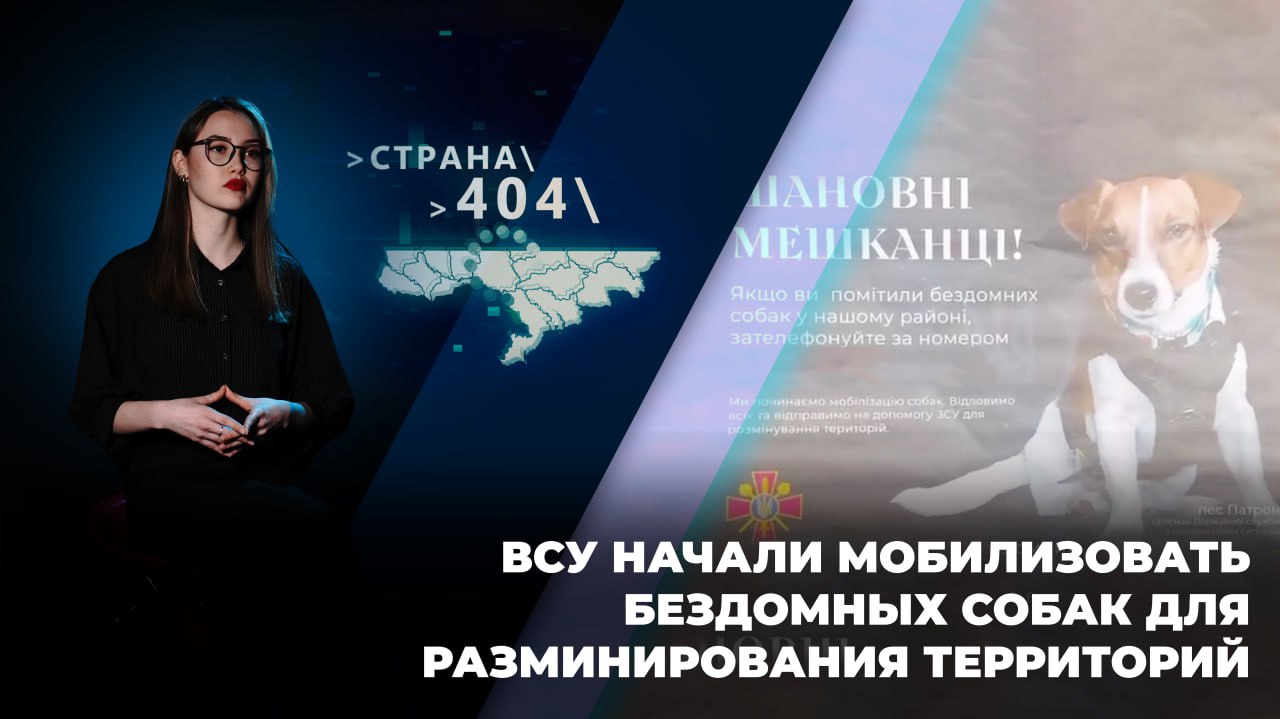 Страна 404. № 34. 2 мая 2024 г