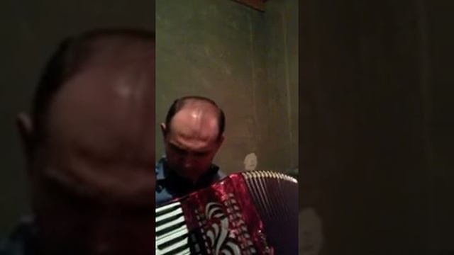 Блатнер В Лесу
