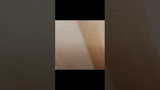 отзывы клиентов
