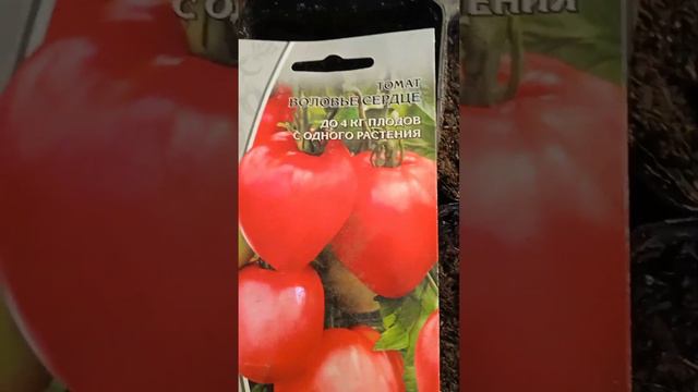 сажаем помидоры начался сезон посадок😁( Как сажать помидоры)