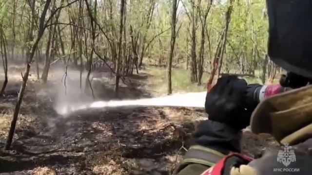 МЧС сообщил, что лесной пожар в Ростовской области полностью ликвидирован на 123,5 гектарах. 🔥👏