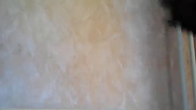 Обзор лапши Роллтон