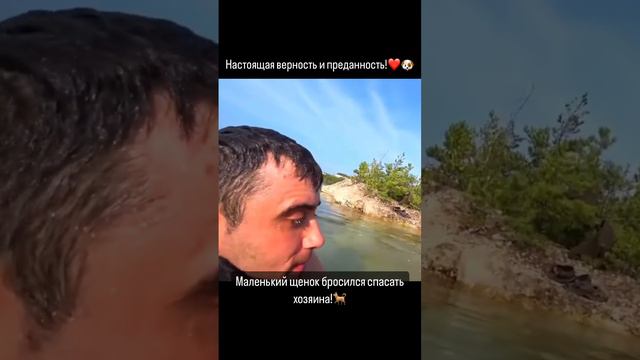 Наши самые лучшие питомцы🥰