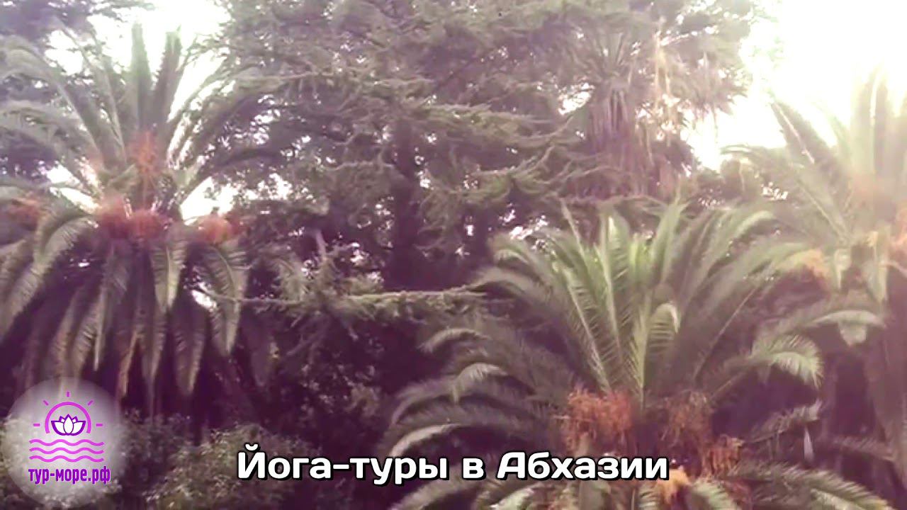 Видео отзыв №16. ЙОГА-ТУРЫ в Абхазии. (ТУР-МОРЕ.РФ)