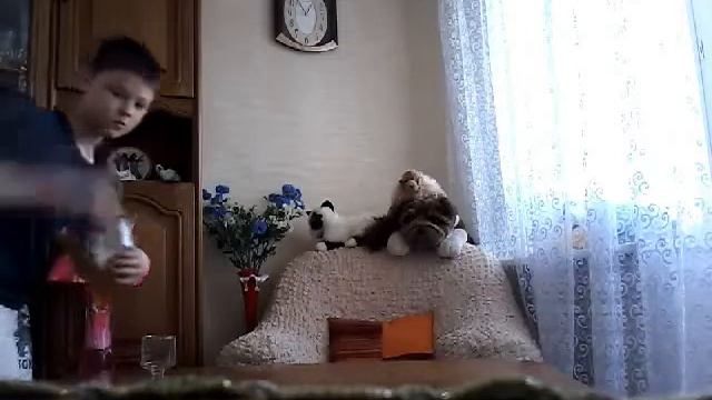 Место видеоблогера!!!!!!
