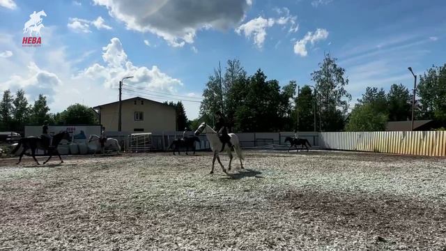 Лето в нашем конном клубе Нева