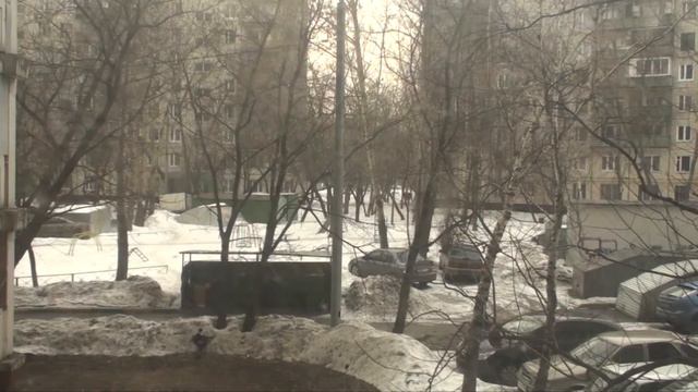 Жизнь одного двора