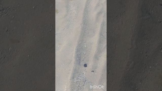 1000054602.mp4