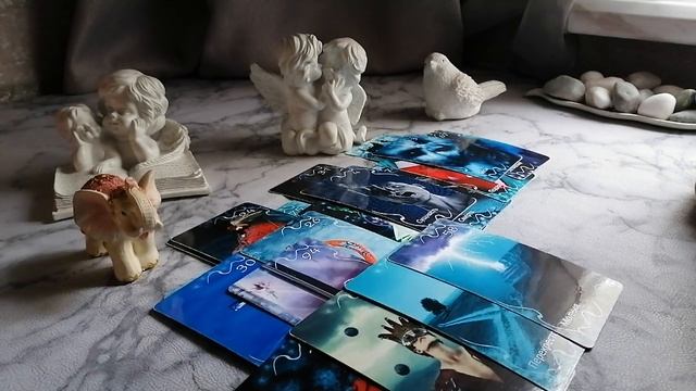 Что вам хочет сказать ваше домашнее животное.