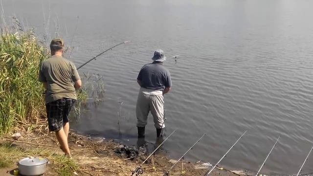 Ловля толстолобика 2015 08 28