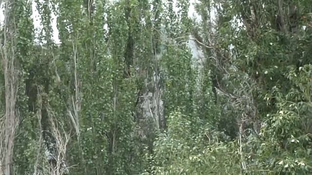 Луганск 18 июля, восточные квартала