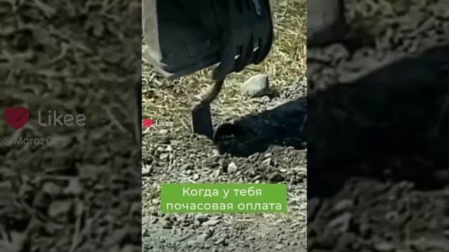 Почему дороги делают так долго