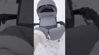 коляска пеппи зум (Peppy zoom)