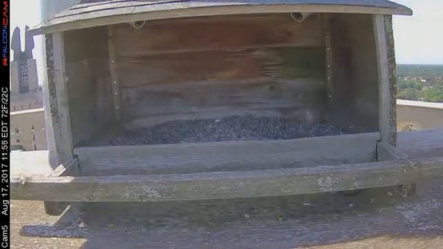 Camera 5 - 08/17/17