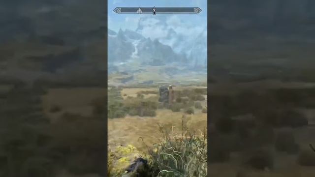 M’aiq makes fun of the dragon born and gets sent to the shadow realm #skyrim #elderscrolls
