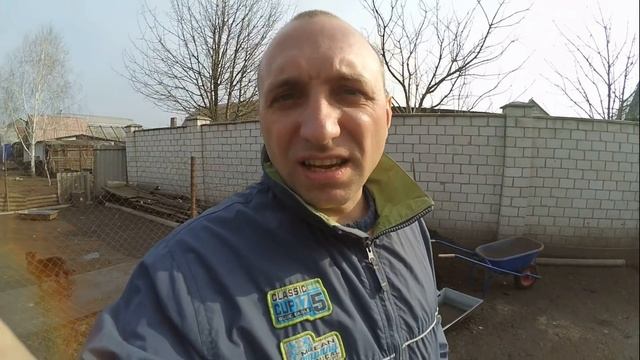 Сбор и хранение гусиных яицЛиндовские гуси