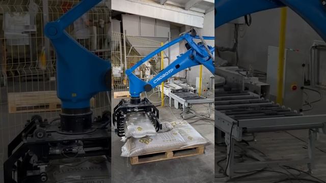 Автоматизация укладки мешков с конвейера на палету промышленным роботом CRP RP24-130