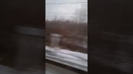 Вид из окна ЭС2Г-100 от ст. Горелово до ст. Лигово на скорости 80-95км/ч.#ржд #мцд #железнаядорога